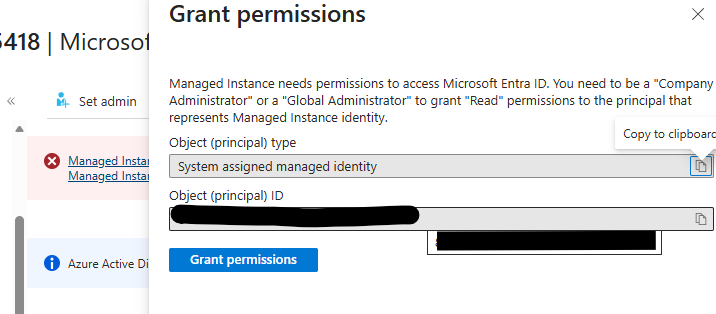 Grant permissions screen on Azure SQL MI Entra ID